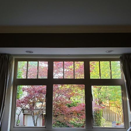 Elegant, Sunny Modern Home With Skylights - Kitsilano, Vancouver Dış mekan fotoğraf